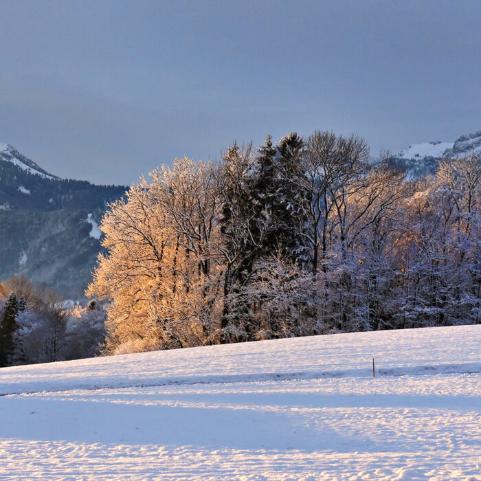 Silvesterwanderung_Prien am Chiemsee Silvesterwanderung, Prien am Chiemsee