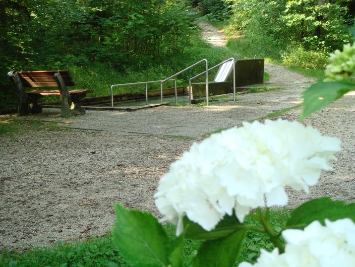 Feßler-Weiher Feßler-Weiher