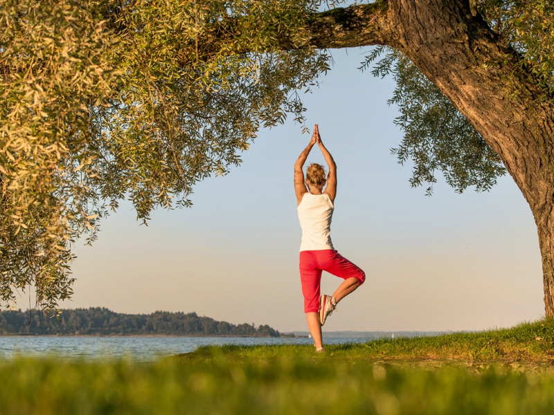 Yoga_Baum Yoga_Baum