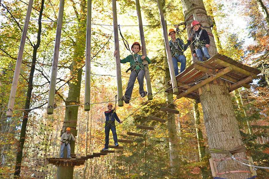 Kletterwald