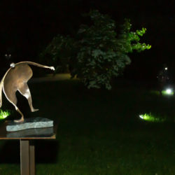 A8-6246-0620_Kunstnacht