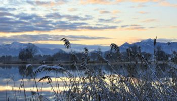 Mayall_2012_winter_D14040